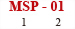 msp-hto.jpg